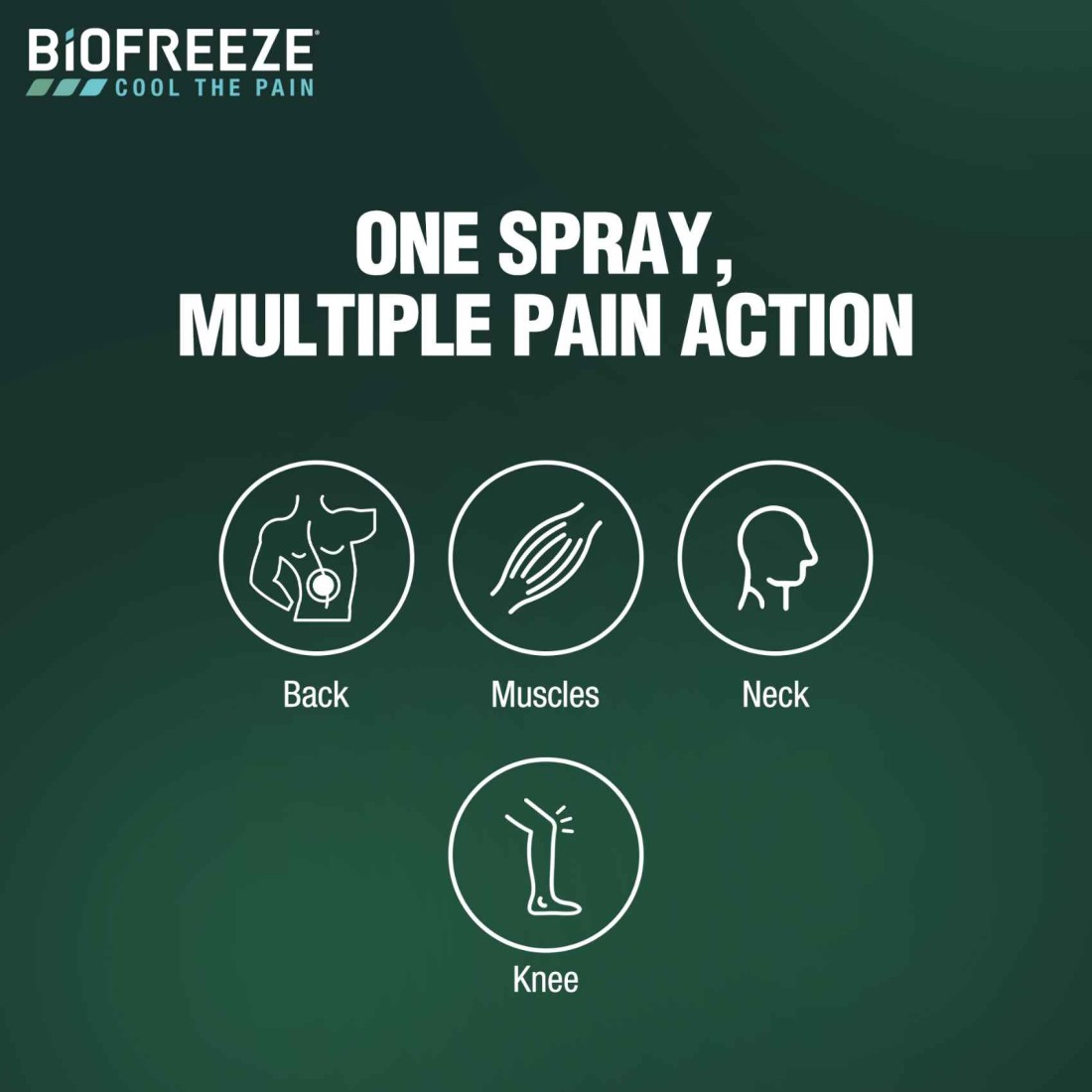 Biofreeze Muscle and Joints Pain Relief Spray 118ml