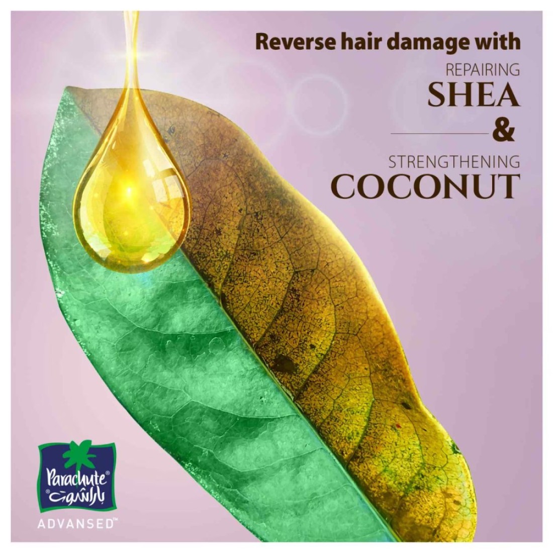 Parachute Advansed Shea Enriched Coconut Hair Oil Gold 300ml