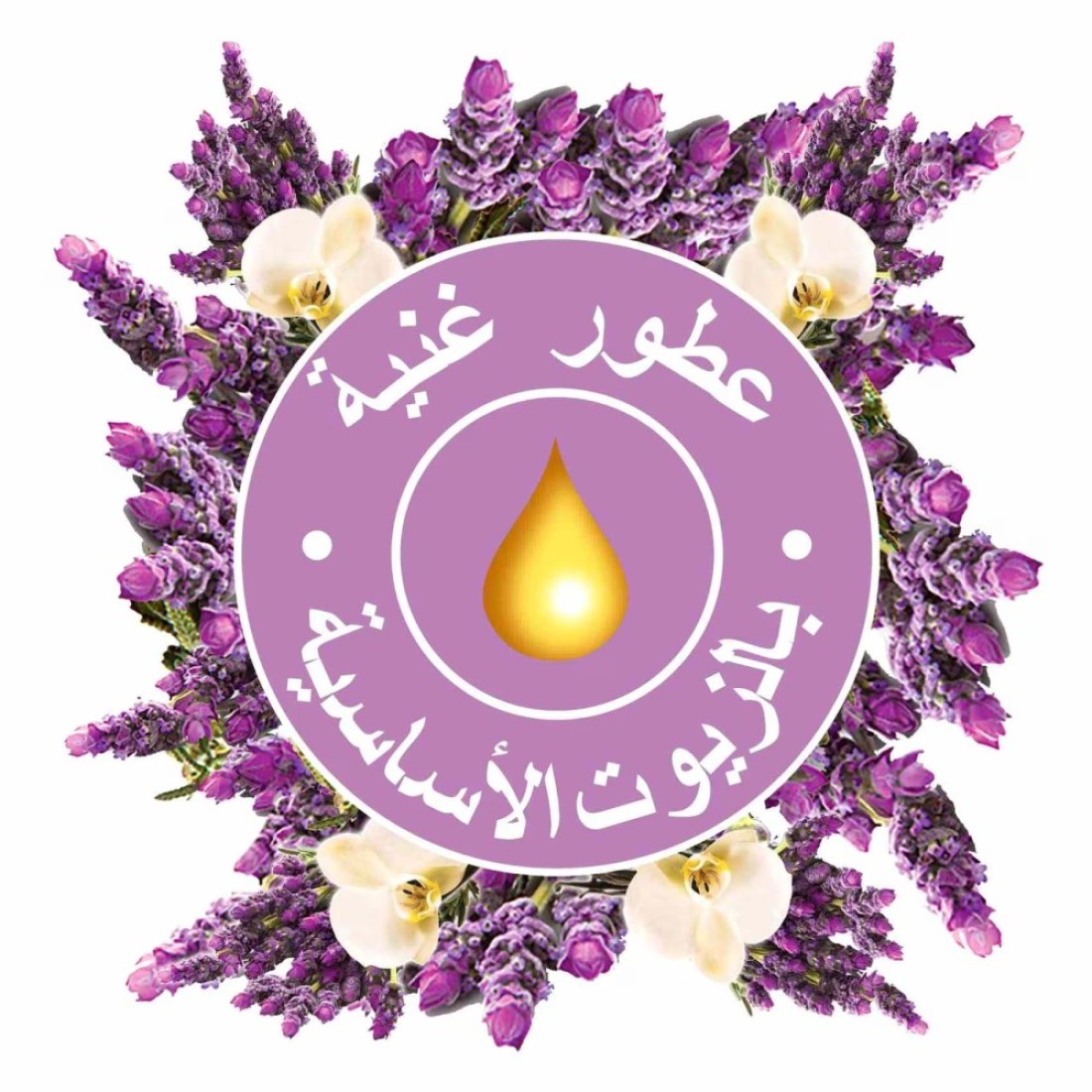 غلايد معطر الجو أوتوماتيكي قابل لإعادة التعبئة متنوع الروائح - شفاف - 3 قطع