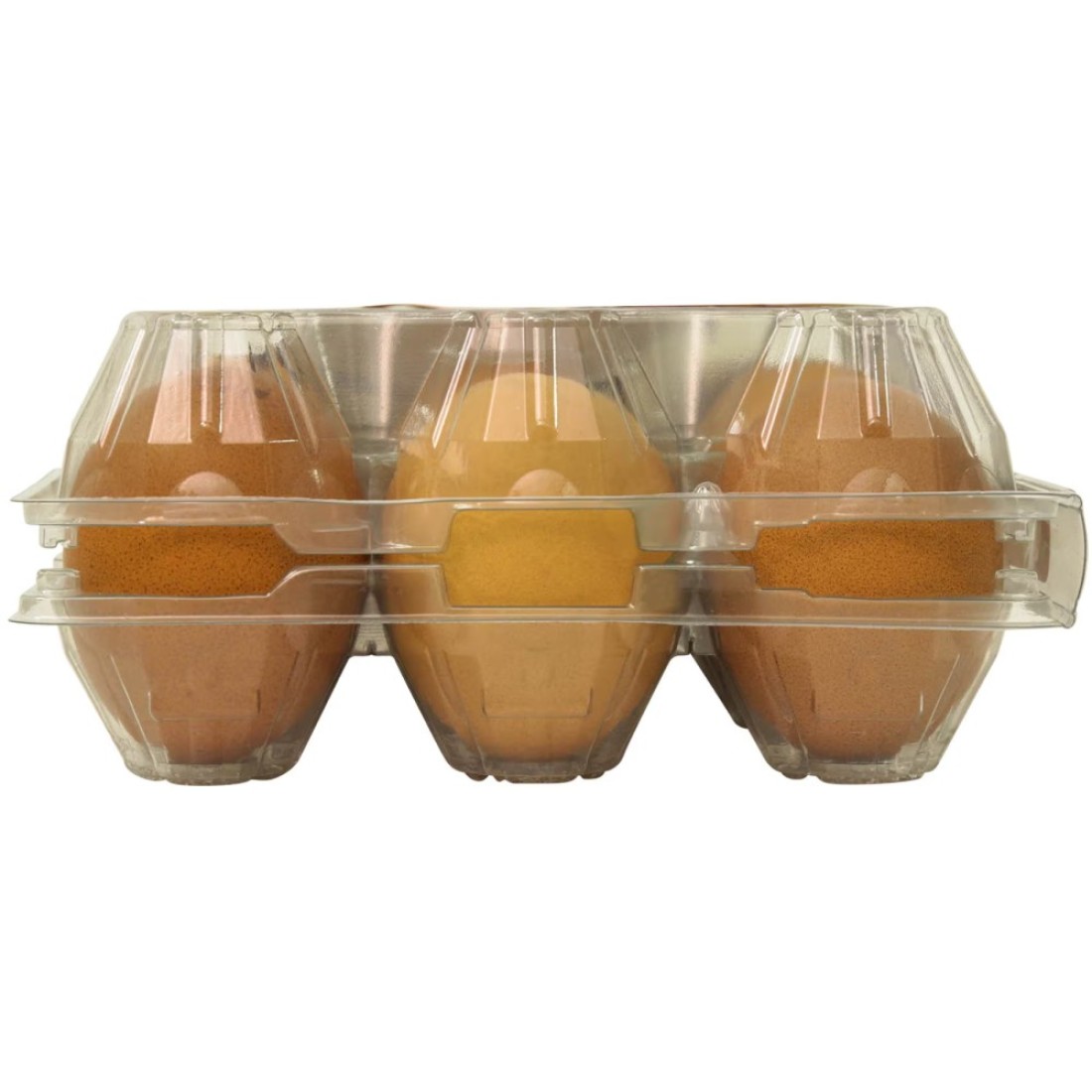 Al Jazira Golden Eggs Medium Either White or Brown 15 PCS