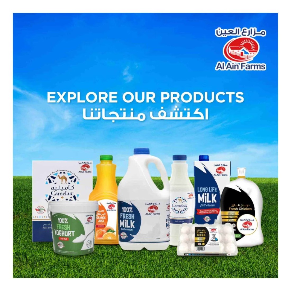 Al Ain UHT Full Fat Milk 180ml Pack of 6