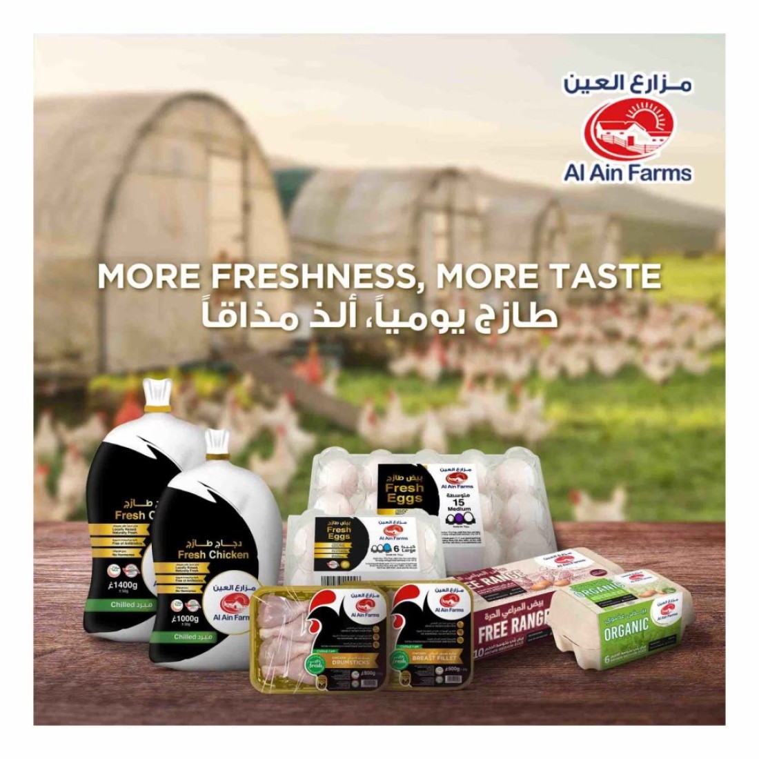 Al Ain Fresh Chicken Fillet 500g