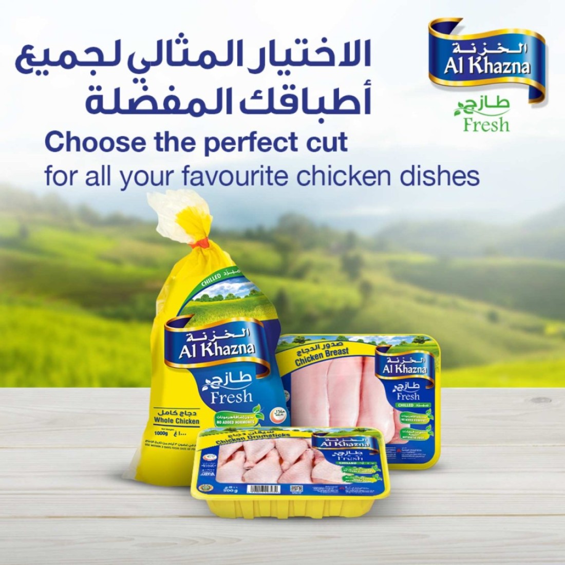 Al Khazna Fresh Chicken Breast Strips 500g