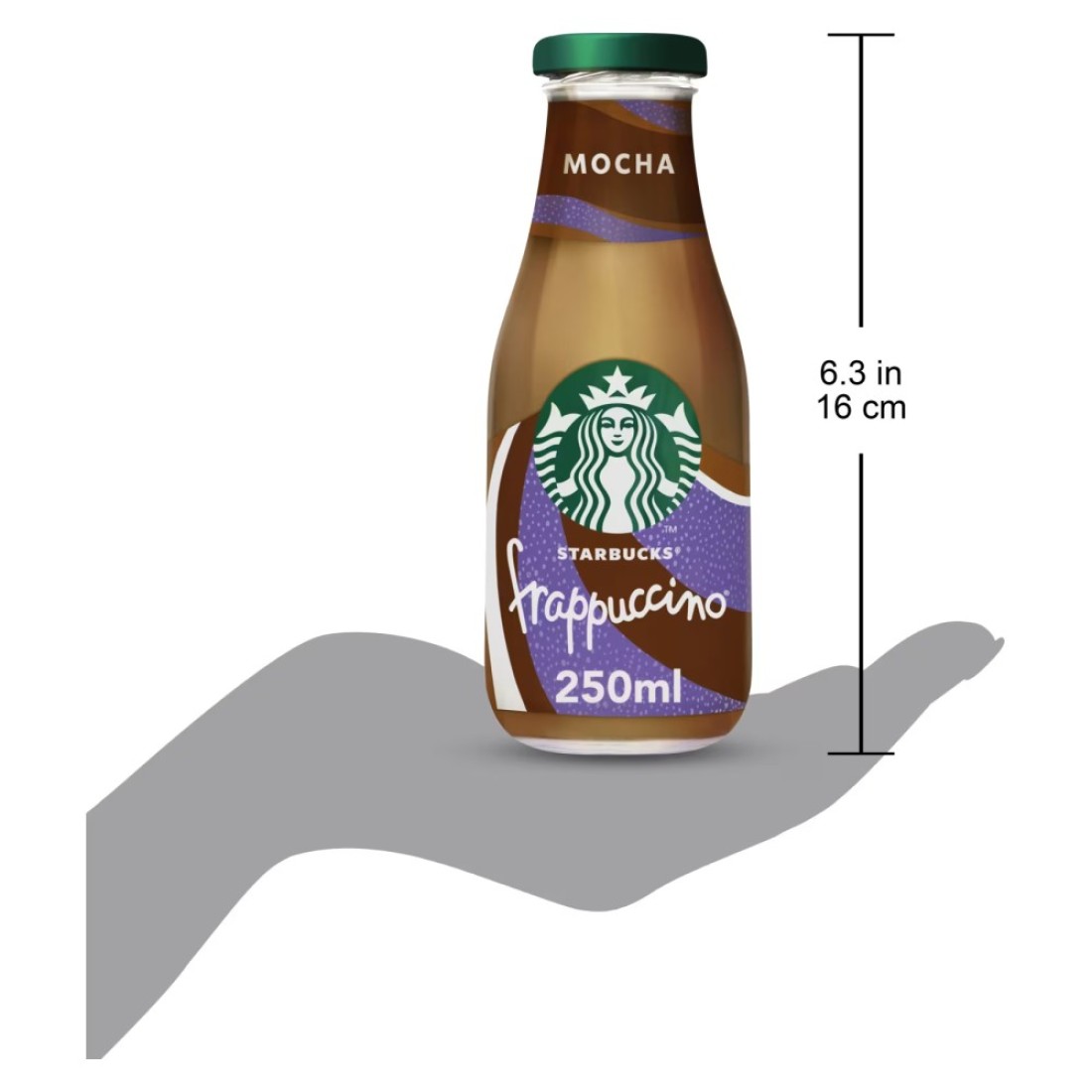 Starbucks Frappuccino Creamy Mocha Delight Coffee Drink, 250ml