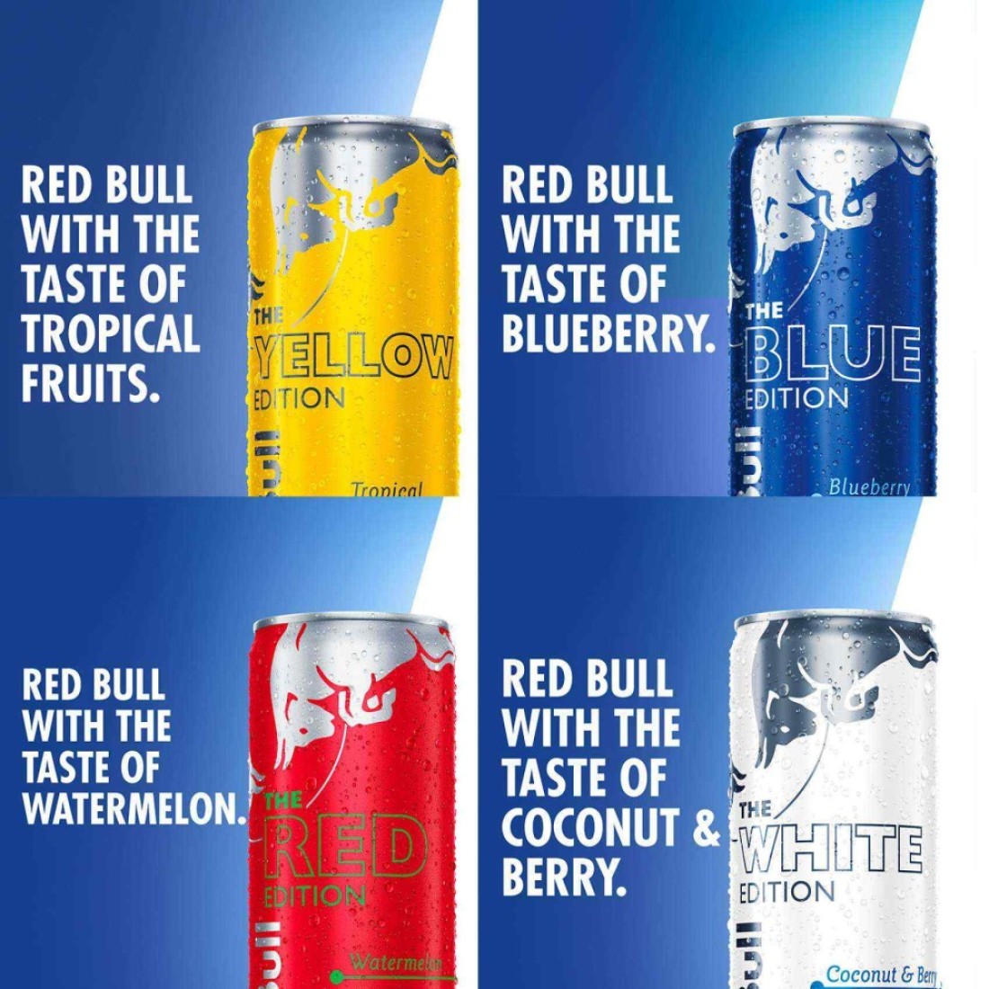 Red Bull Energy Drink Blueberry 250ml Pack of 4