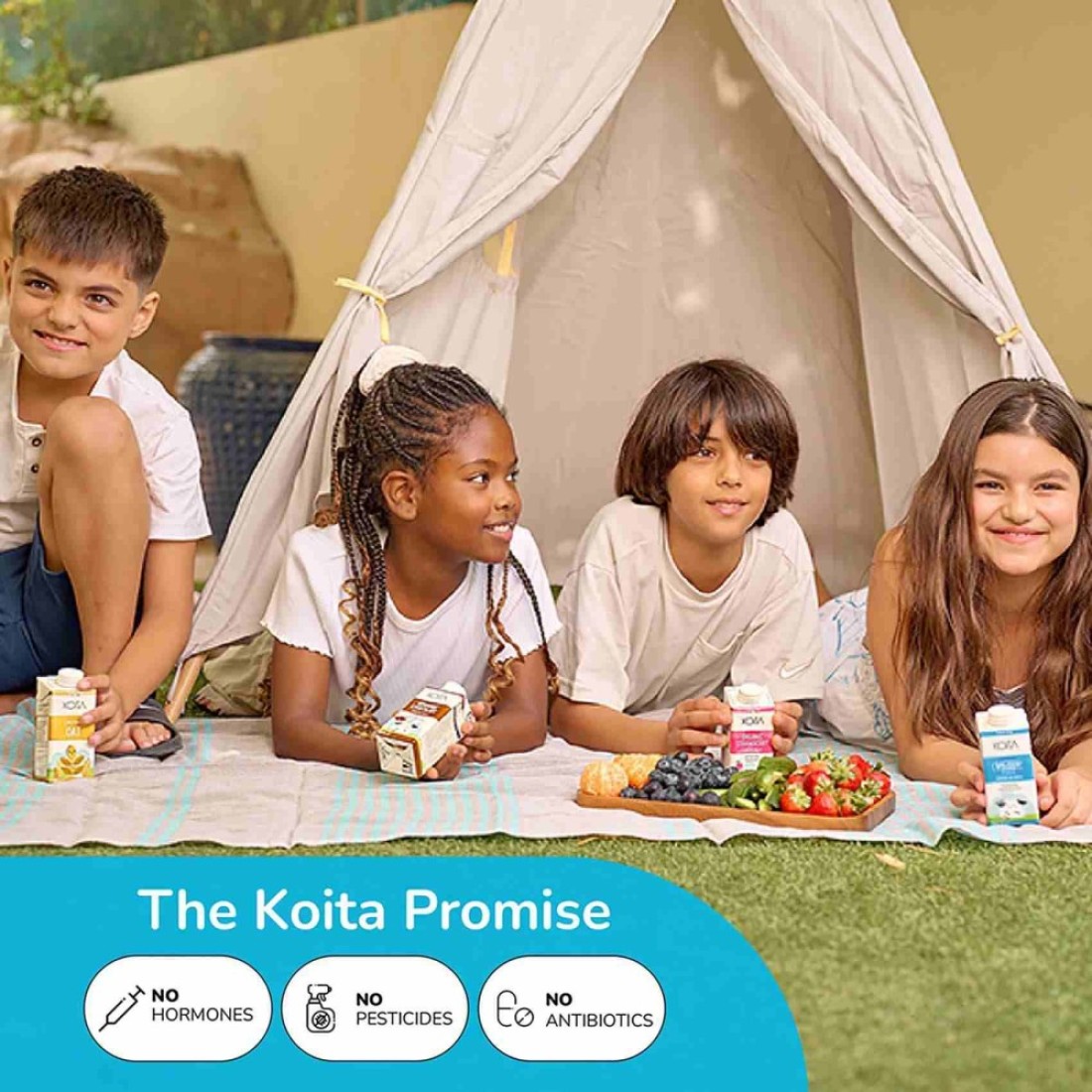 Koita Lactose Full fat Milk Vitamin A and D3 added 1L