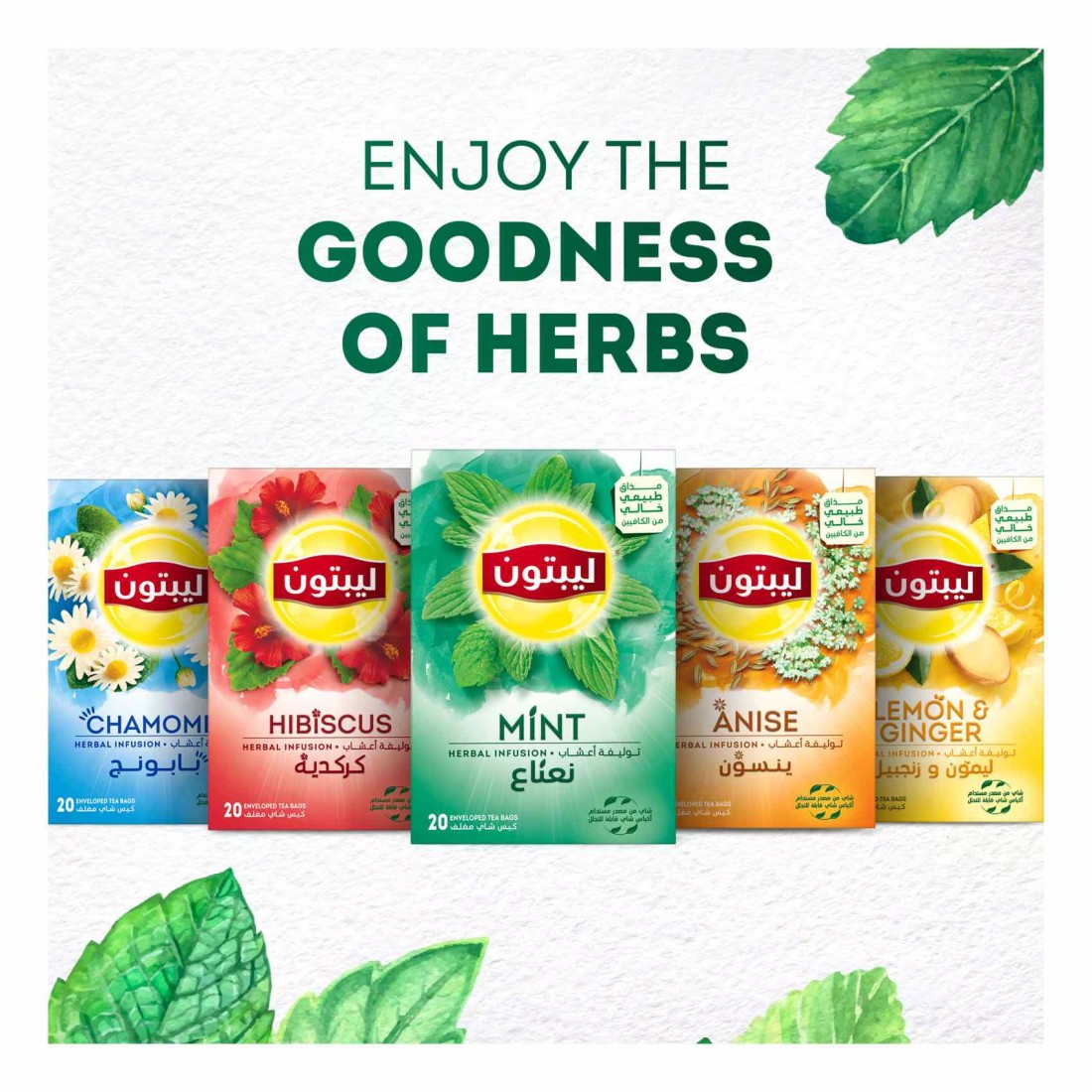 Lipton Herbal Infusion Mint 20 Tea Bags