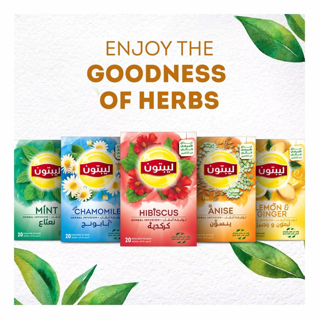 Lipton Hibiscus Herbal Infusion 20 Tea Bags