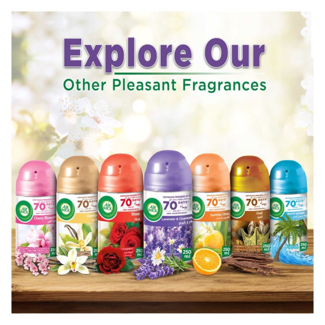 Airwick Freshmatic Autospray Refill, Lavender and Chamomile, 250ml Pack of 3