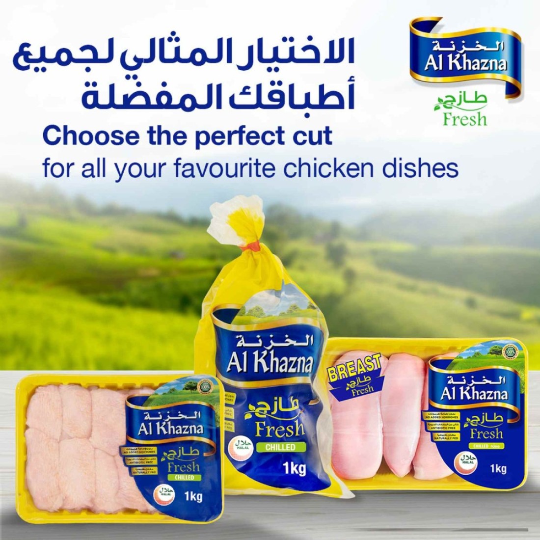 Al Khazna Fresh Chicken Breast Strips 500g