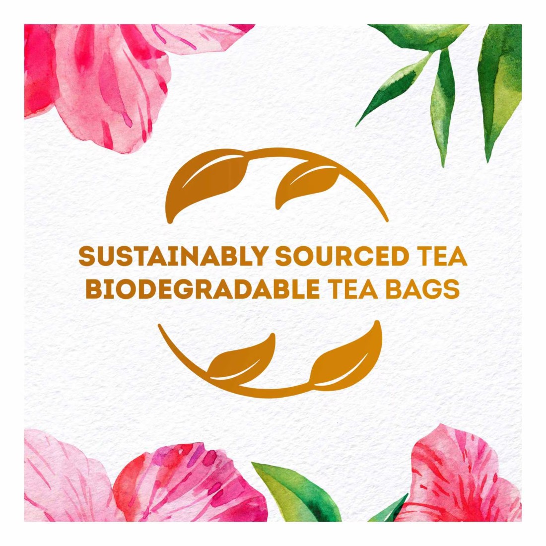 Lipton Hibiscus Herbal Infusion 20 Tea Bags