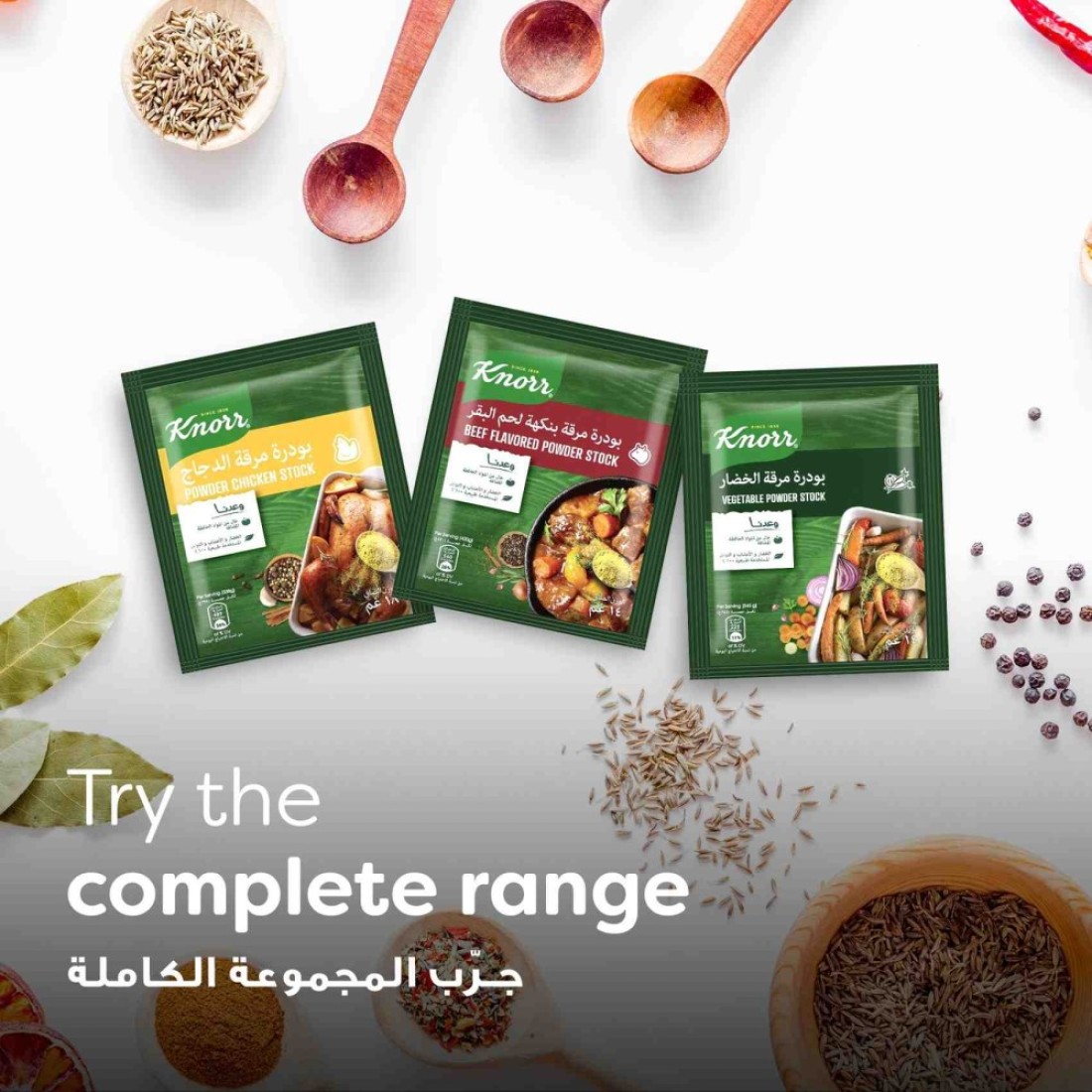 Knorr Powder Bouillon Chicken Stock 18g