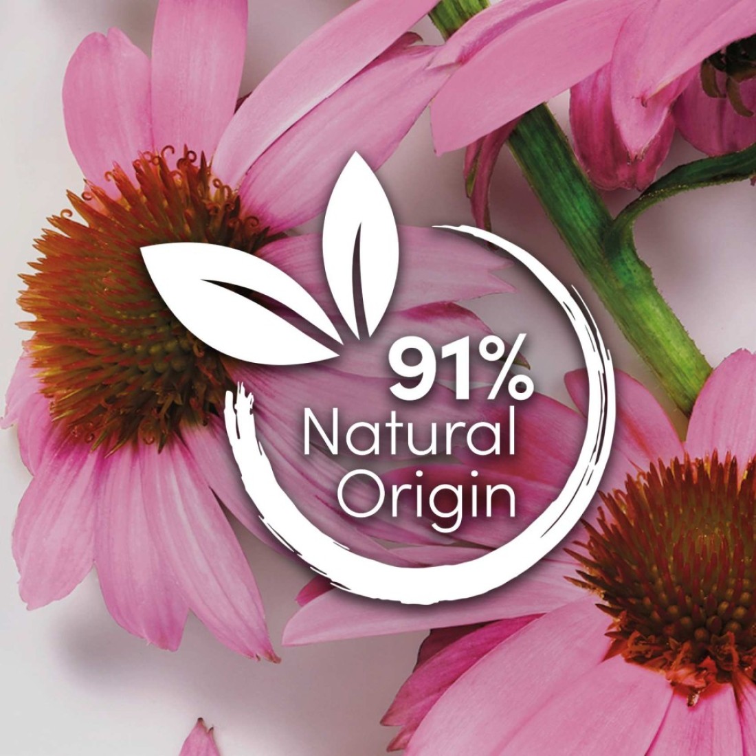 Dove Shampoo Strengthens Hair To Promote Hair Growth Echinacea Length 400ml