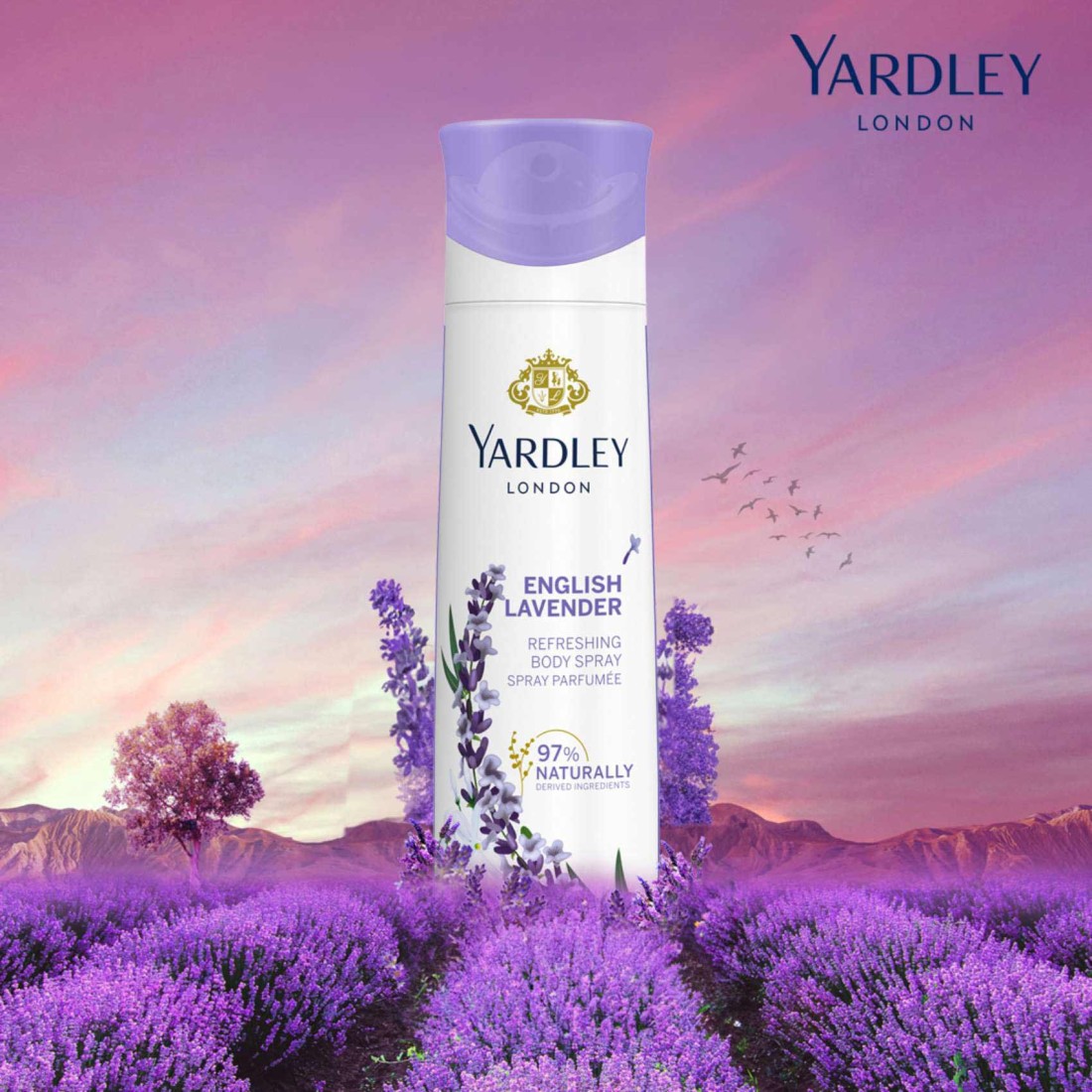 Yardley London English Lavender Refreshing Body Spray Clear 150ml