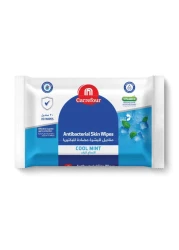 Carrefour Cool Mint Antibacterial Wipes White 20 Wipes