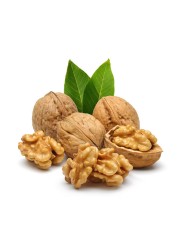 جوز