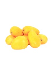 مانغو صغير