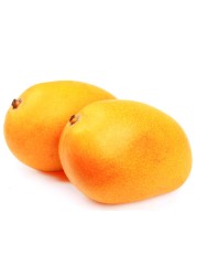 تيمور مانغو