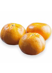يوسفي