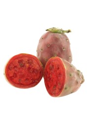 Prickly Pear