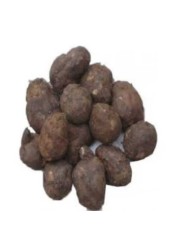 Koorka