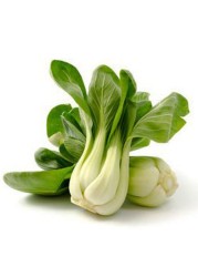 بوك تشوي صغير