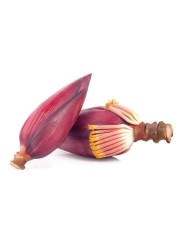 زهرة الموز
