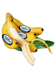 SanLucar Banana Premium