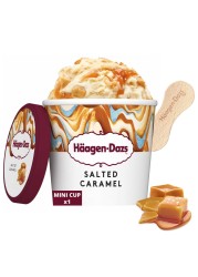 Haagen Dazs Salted Carmel Ice Cream 100ml