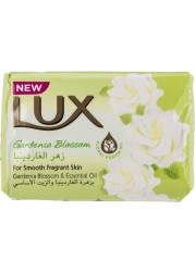 لكس مسحوق غسيل اليد ، 500 مل ، سوفت تتش