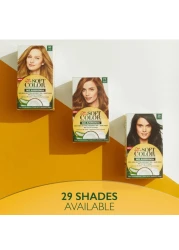 Soft Color Kit 70 Natural Blonde