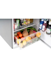 Terim 220L Net Capacity Double Door Top Mount Refrigerator Bright Silver TERR300S