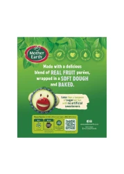 Mother Earth Blueberry Fruit Bar 152g