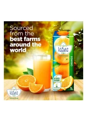 Hayatna Pure Orange Juice Free from preservatives No added sugar 1L