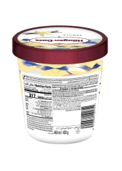 Haagen Dazs Vanilla Ice Cream 460ml
