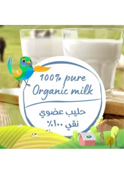 Arla Organic Low Fat Milk, 1L