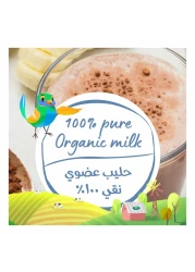 Arla Organic Milk Chocolate Multipack, 200ml Pack of 6