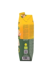 Hollinger Bio Apple Ginger Juice 1L