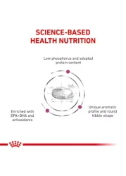 طعام القطط الجاف رويال كانين رينال 2 كجم