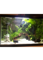 10kg Pure White Sugar Sand 80-120&micro;m: Ideal for Aquascaping, Water Filtration, Terrariums, Art &amp; Craft Projects, and Natural Aquarium Substrates.