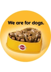 Pedigree Beef Chunks in Gravy Wet Food for Dog, 400g