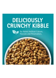 Purina One Visible Hairball Control with Chicken Cat Food, 1 Years and above, 1.2kg