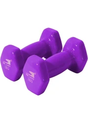 Sky Land Vinyl Dumbbell Classical Head 1 Kgx2 Purple