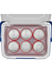 Coleman Performance 6 Personal Cooler Blue 5 Quart