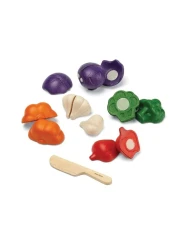 Plantoys Wooden 5 Colors Veggie Set