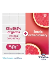 كلوركس سينتيفا مناديل مطهرة بالجريب فروت وزهر البرتقال، 75 منديلًا مبللاً