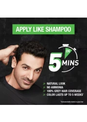 غارنييه شامبو صبغة الشعر 20 ملل - 1.0 أسود طبيعي