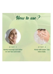 Biotique Papaya Deep Cleanse Face Wash 150ml