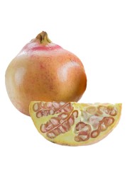 رمان أحمر