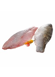 Fresh Sea Bass